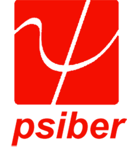 Psiber Data Systems, Inc.